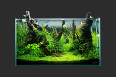 LANDEN 90P dimensiones 90x50x50 cm para planificación precisa.