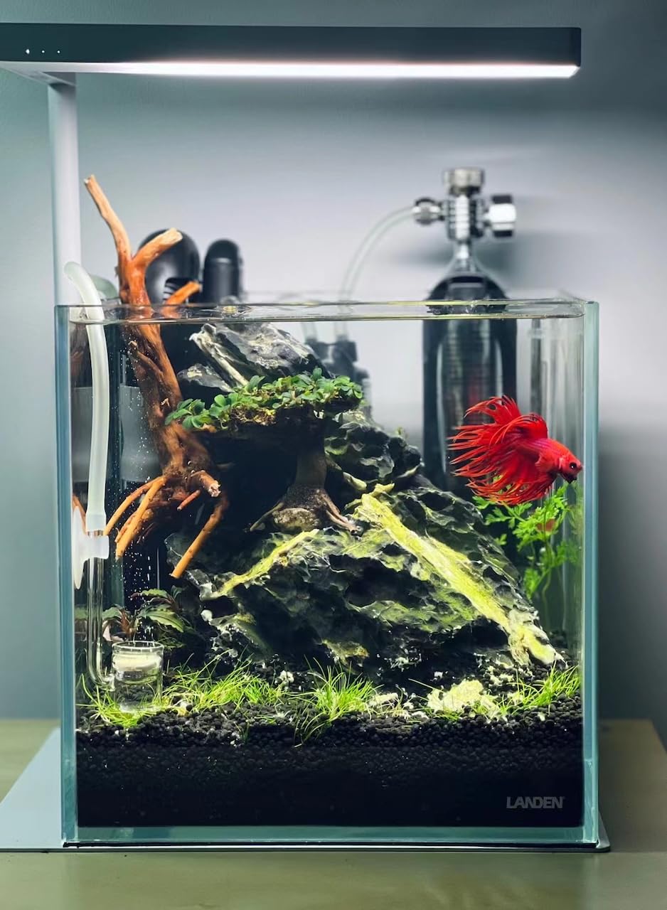 LANDEN Aqua Soil crea un ambiente estable para peces y plantas.