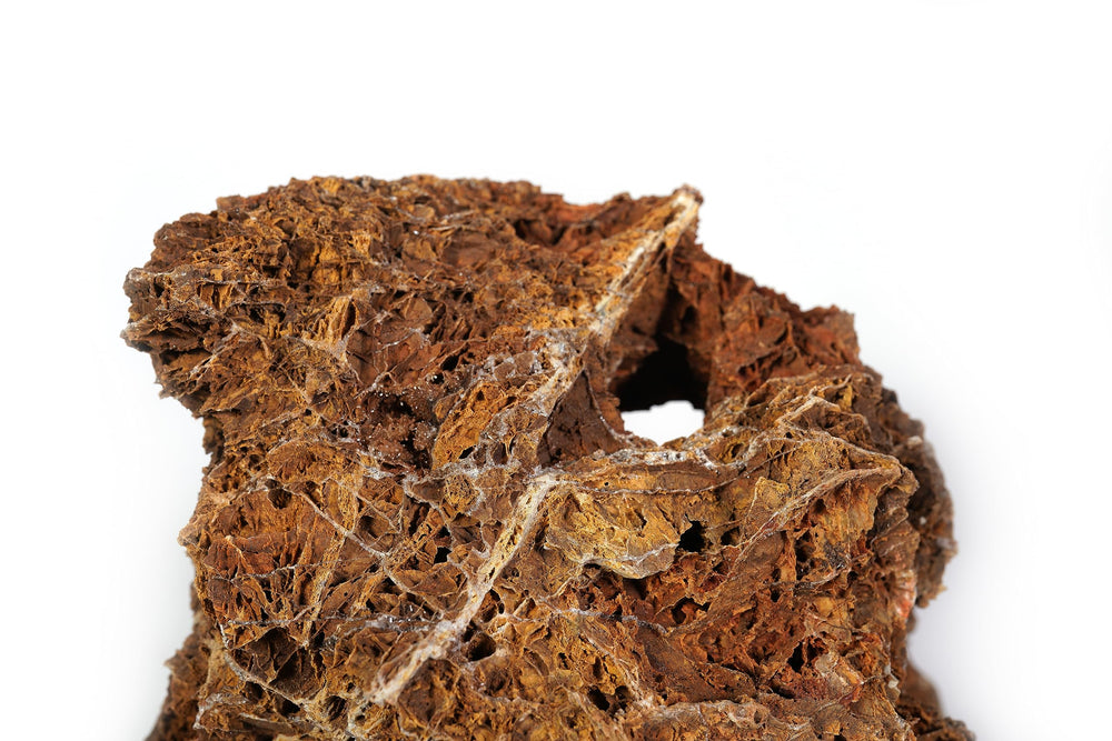 LANDEN detalle de hoja de arce, piedra para terrario natural.