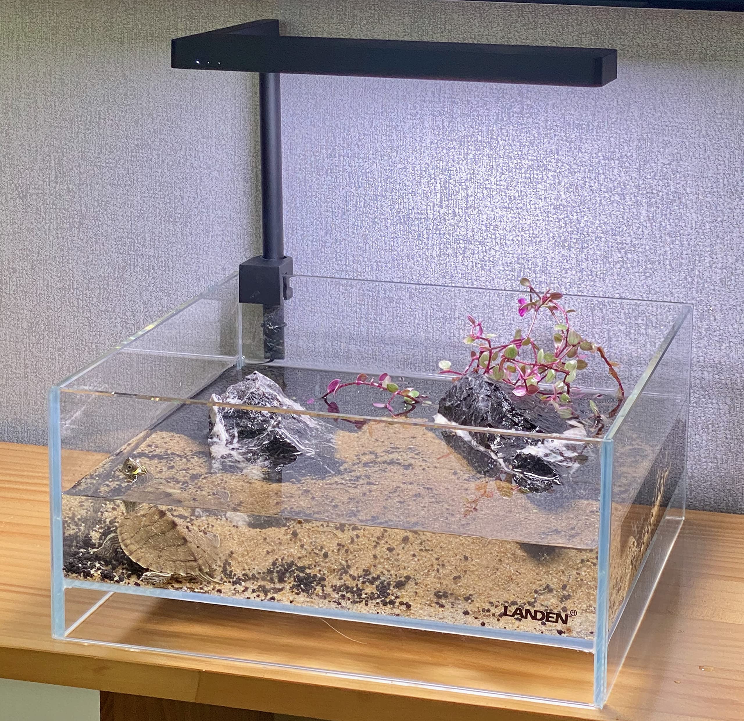 LANDEN Glass Air amortiguador EVA de regalo para seguridad.