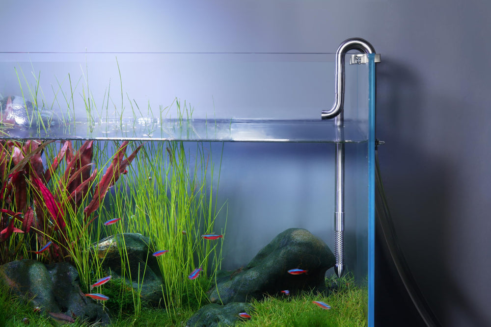 LANDEN kit de fijación facilita instalación rápida y segura.