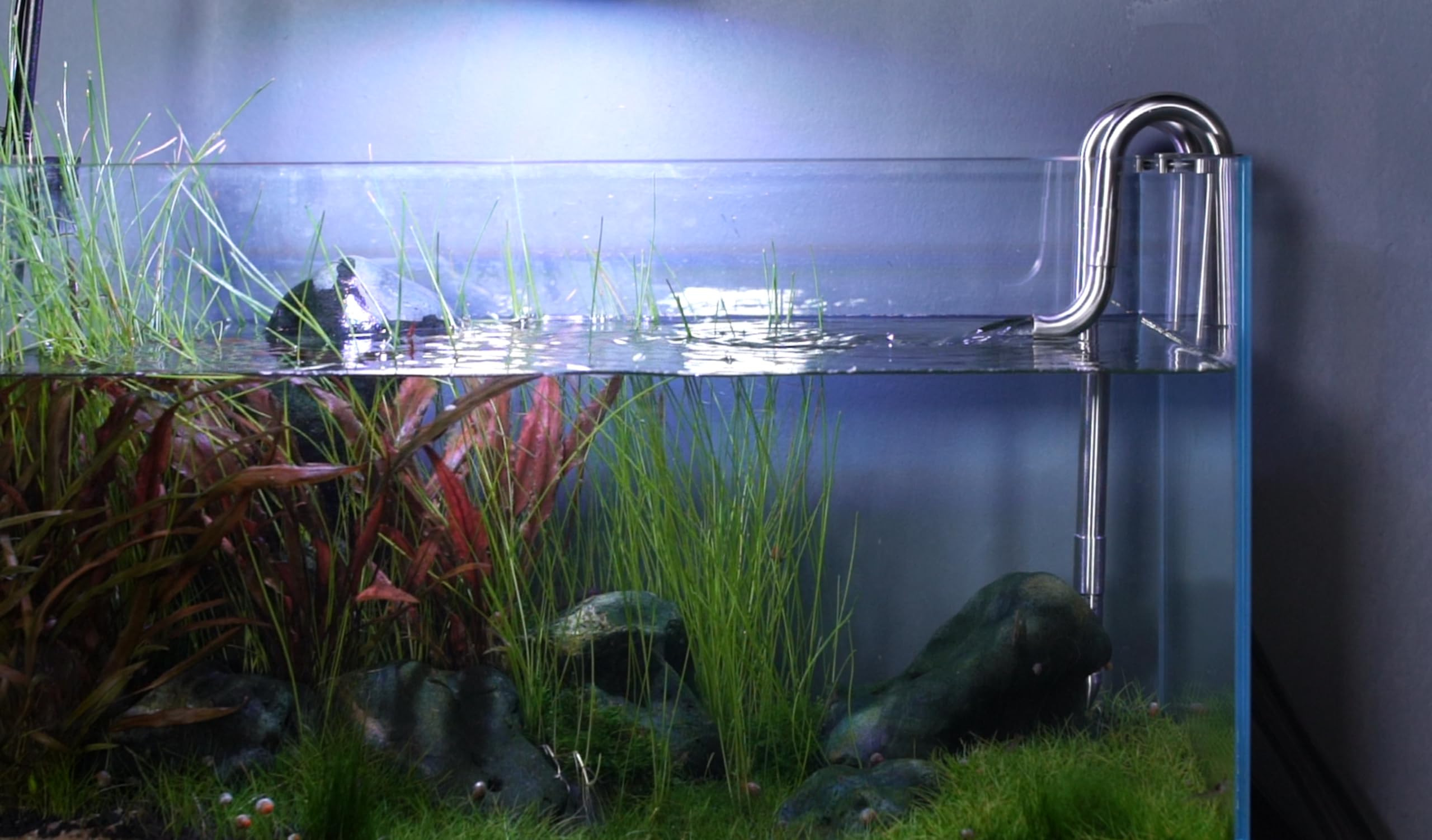 LANDEN Lily soporte para acuario sin marco 16mm, montaje estable.