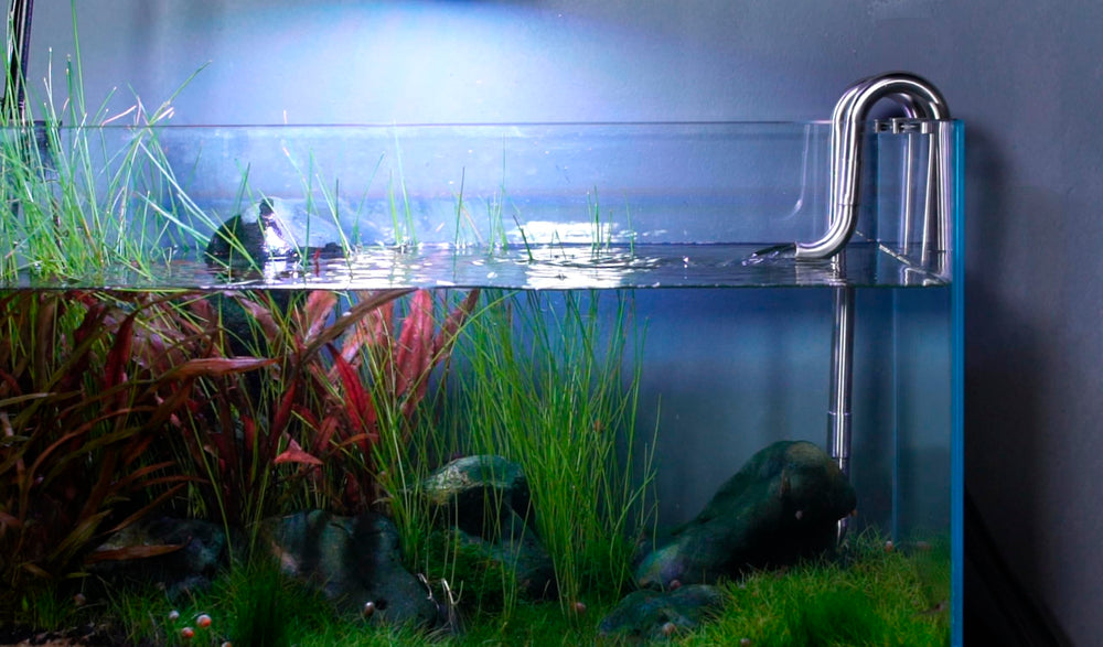 LANDEN Lily soporte para acuario sin marco 16mm, montaje estable.