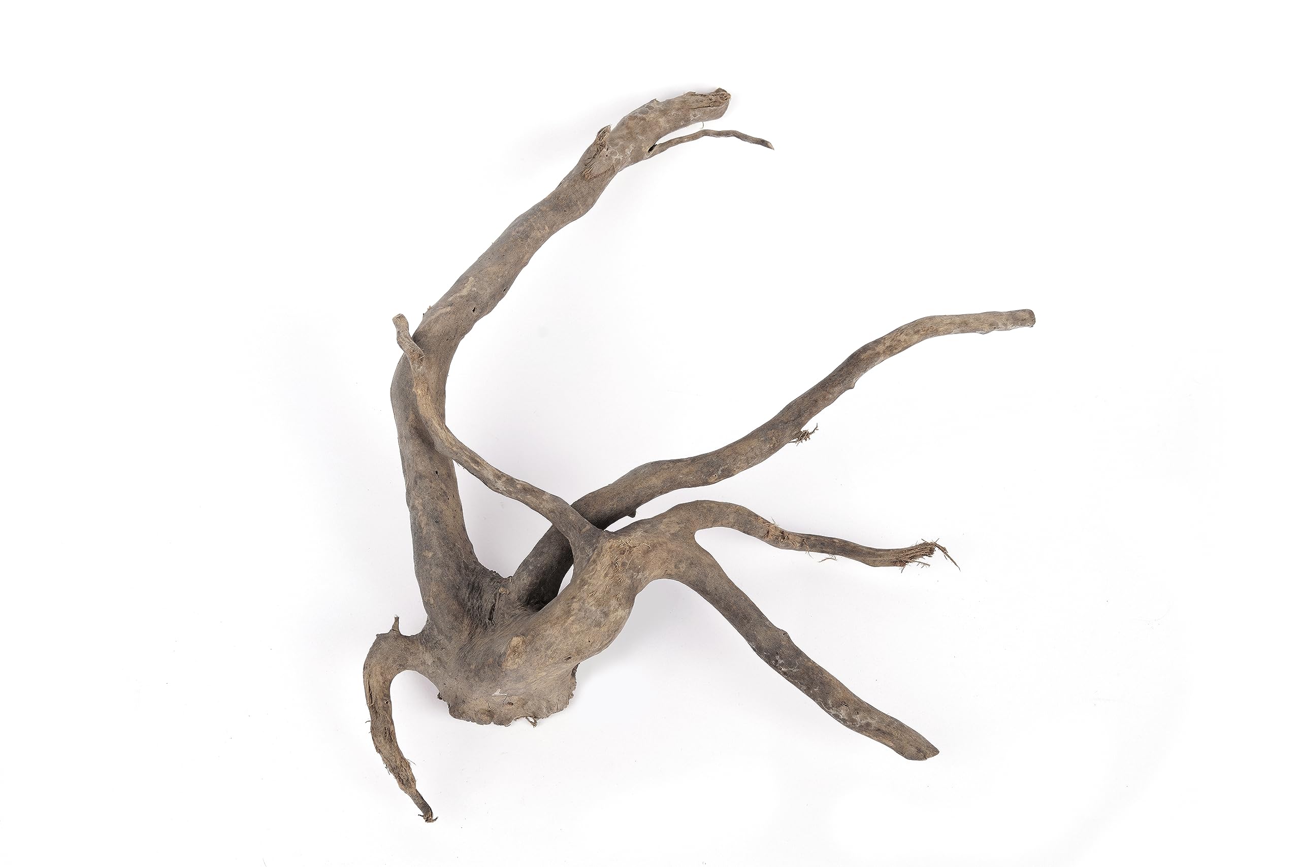 LANDEN madera de deriva para acuario: ramas ramificadas que ofrecen escondites decorativos.