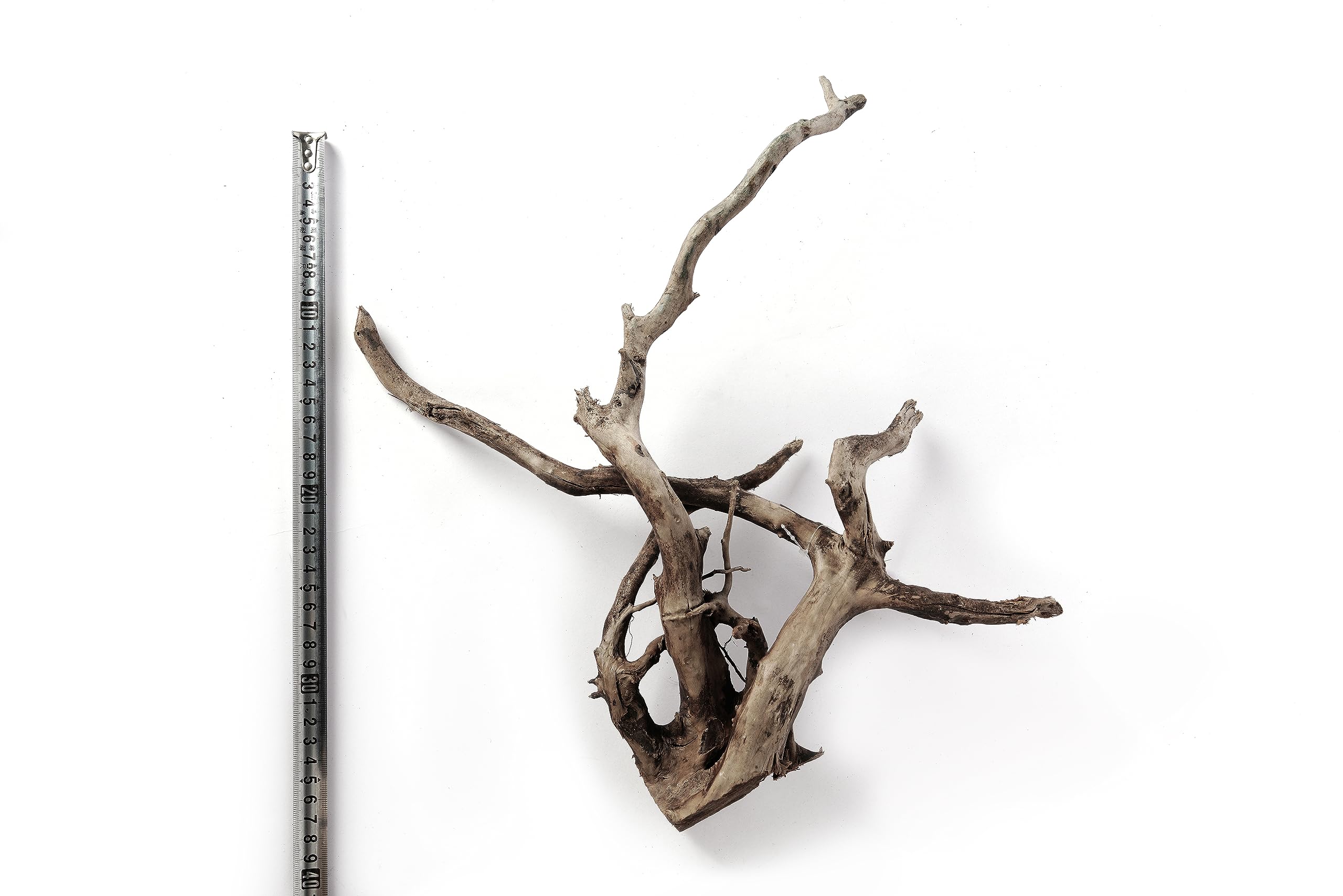 LANDEN madera de deriva para acuario: tronco robusto para musgo y refugio.