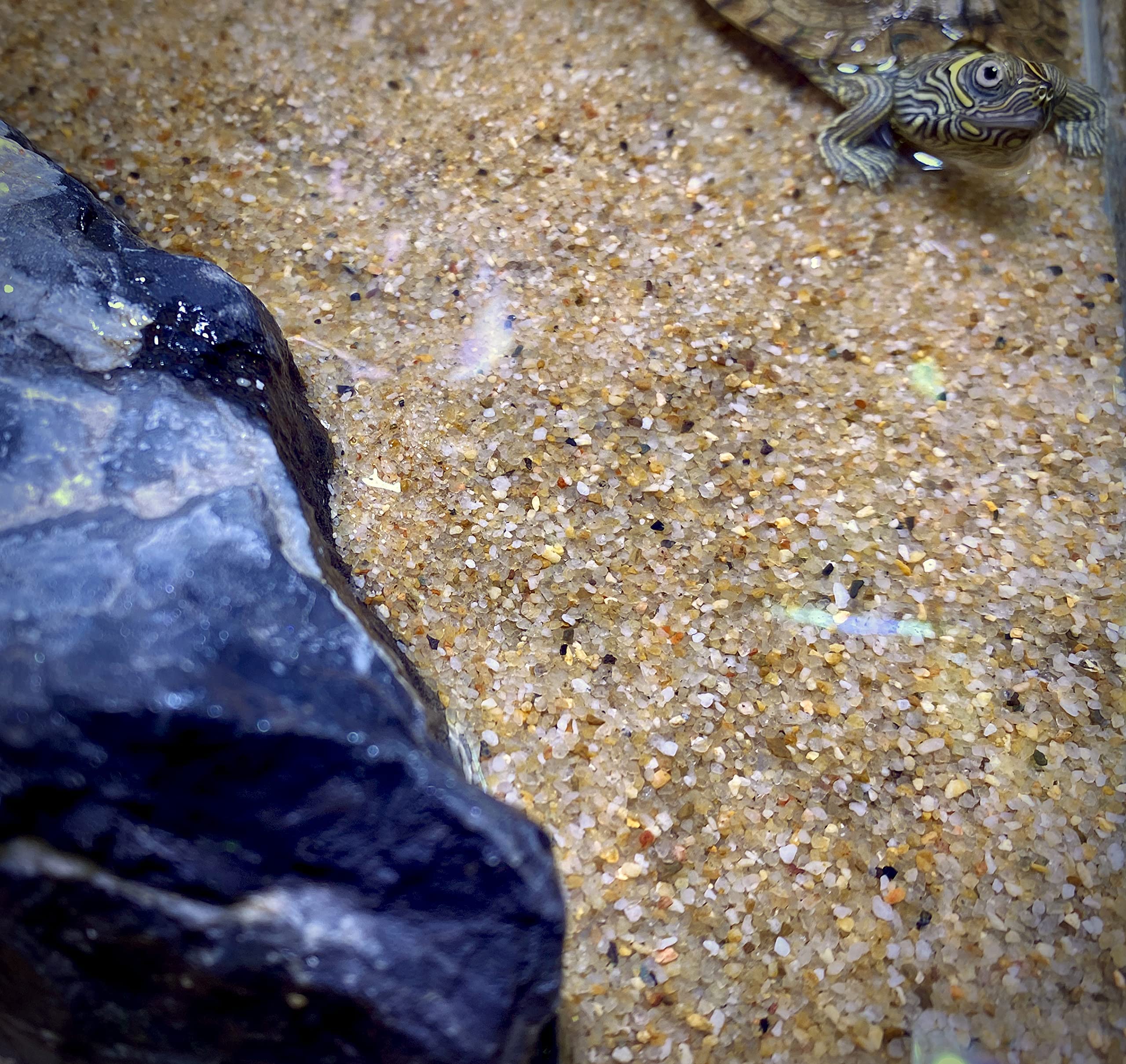 Landen Namale Arena bolsa de 3.2 kg, permite proyectos de acuario.