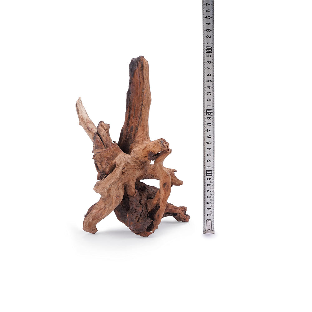 LANDEN Panna driftwood anclaje para plantas y musgos.
