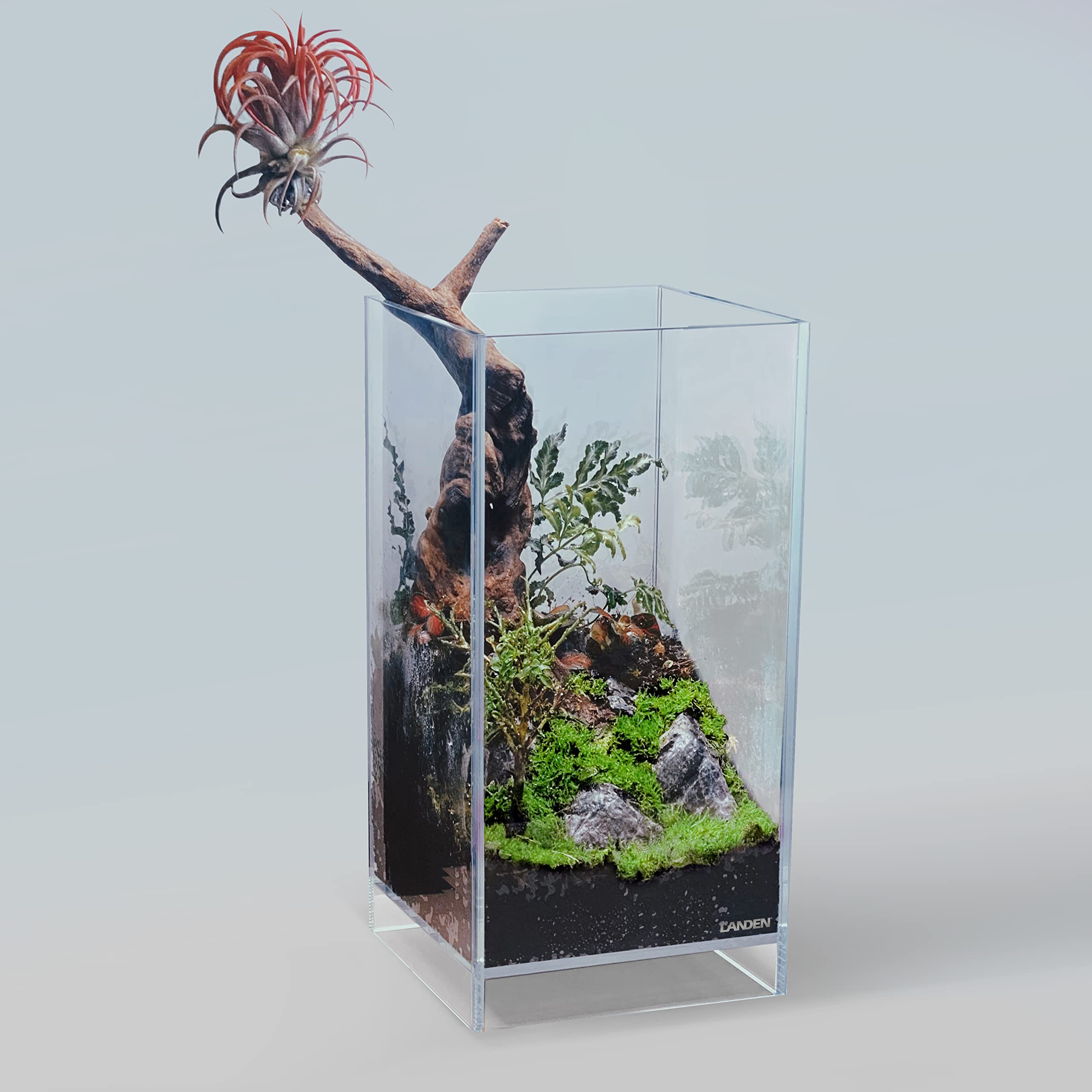 LANDEN Panna driftwood formas variadas, decoración versátil.