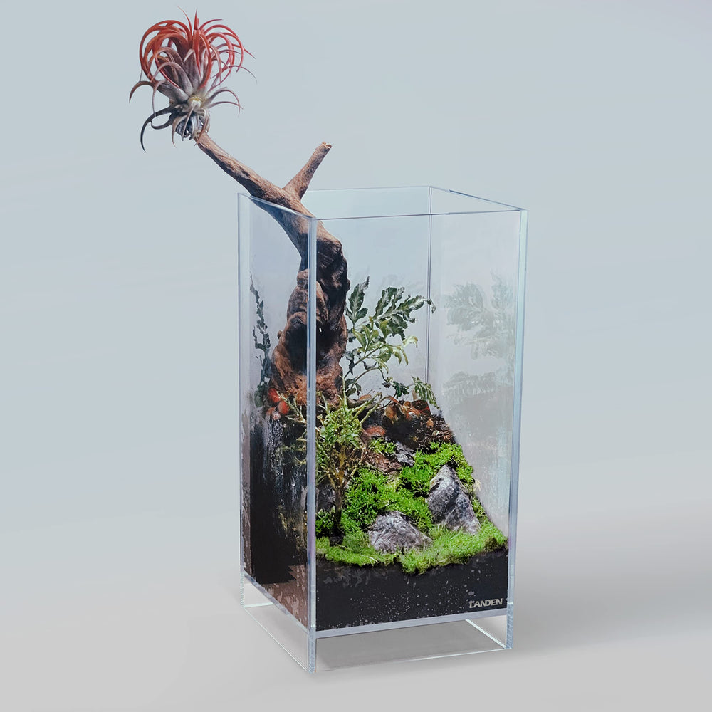 LANDEN Panna driftwood formas variadas, decoración versátil.
