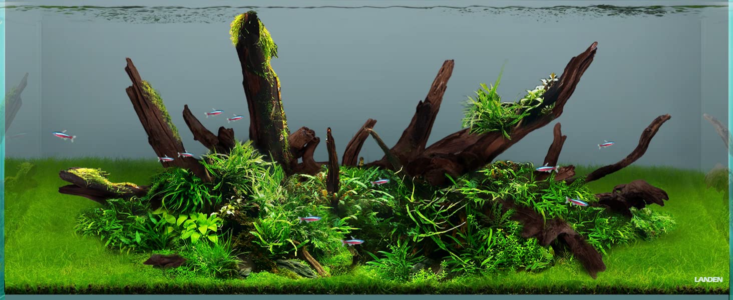 LANDEN Panna driftwood refugio para reptiles.