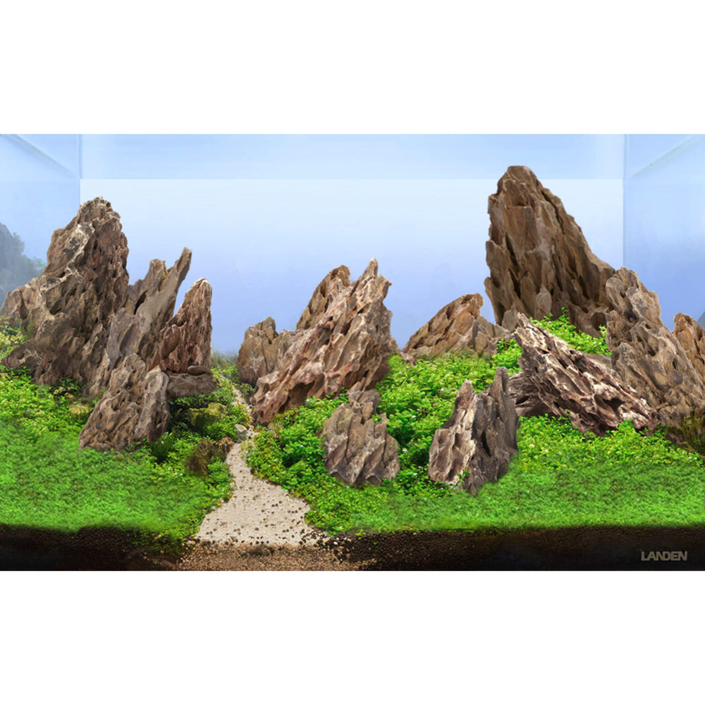 LANDEN piedras dragon natural, de 2 a 8 pulgadas, ideal para anclar musgo y refugio.
