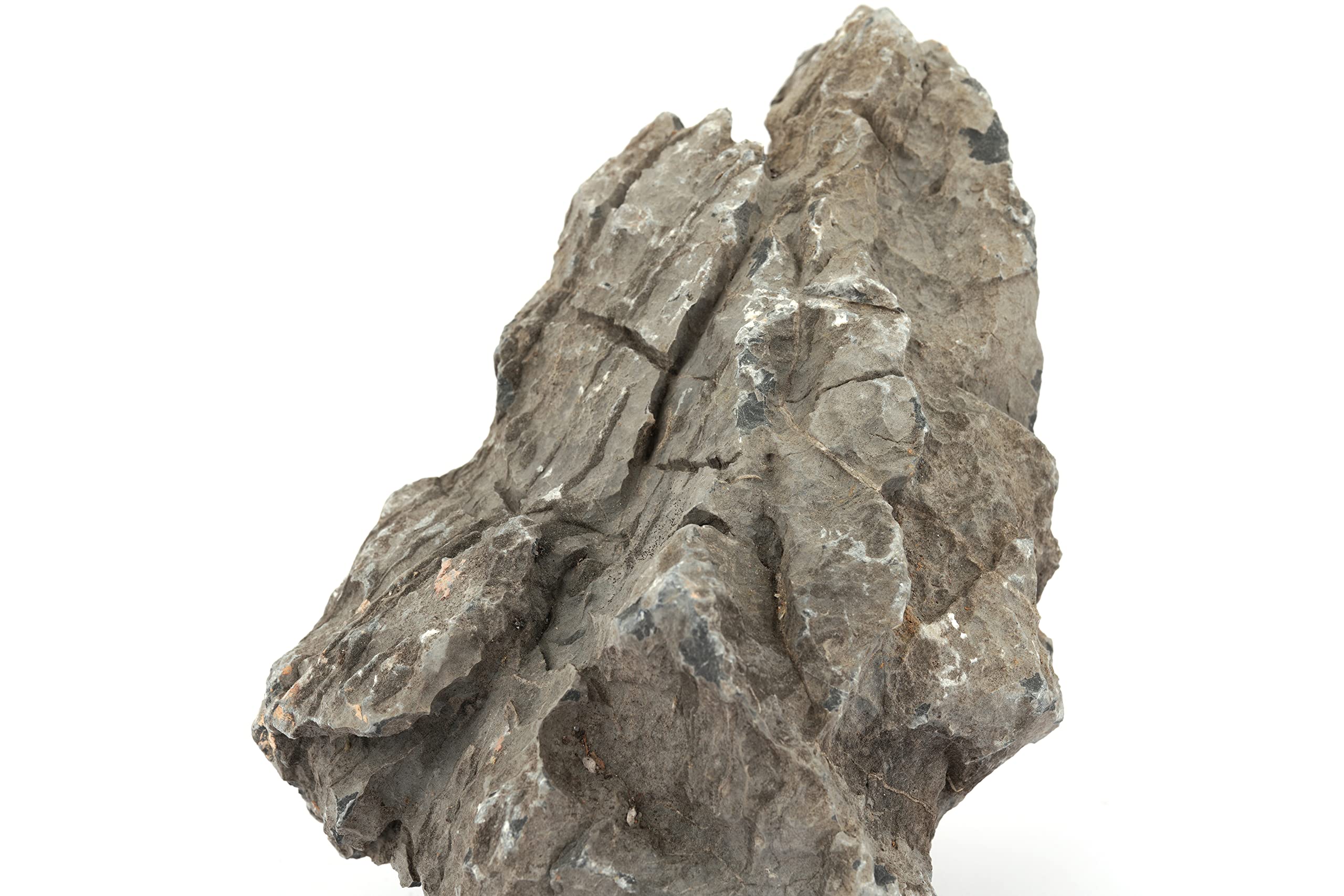 LANDEN Seiryu, piedra para terrario y acuario con estilo natural.