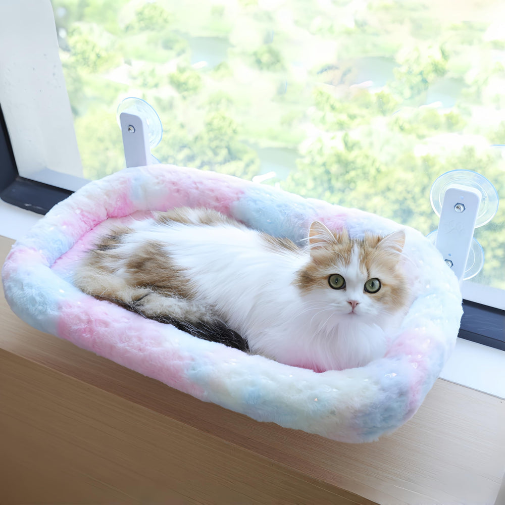 LANERmooos cama-ventana-xl con ventosas: fijación estable para gatos grandes.