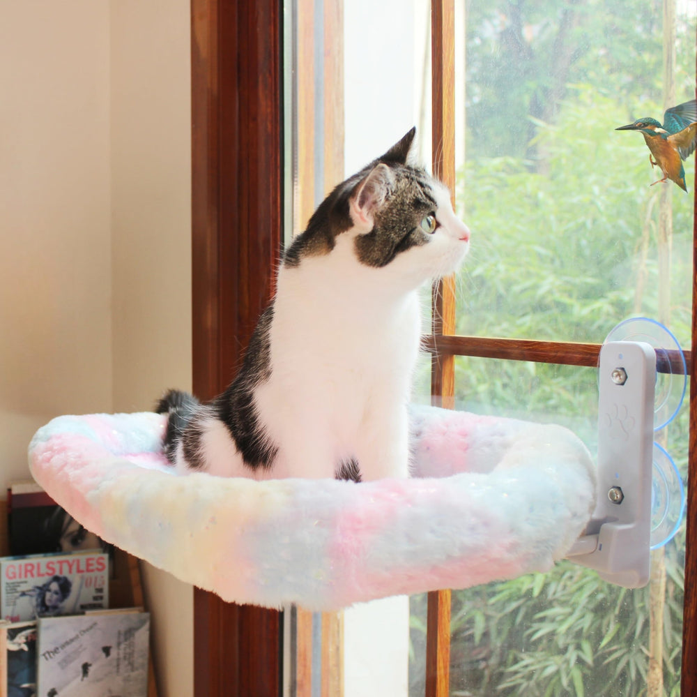 LANERmooos lugar-soleado-para-gatos-ventana: ideal para descanso y observación de aves.