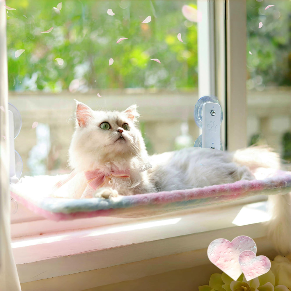 LANERmooos percha de ventana para gato doblable ofrece descanso estable al sol.