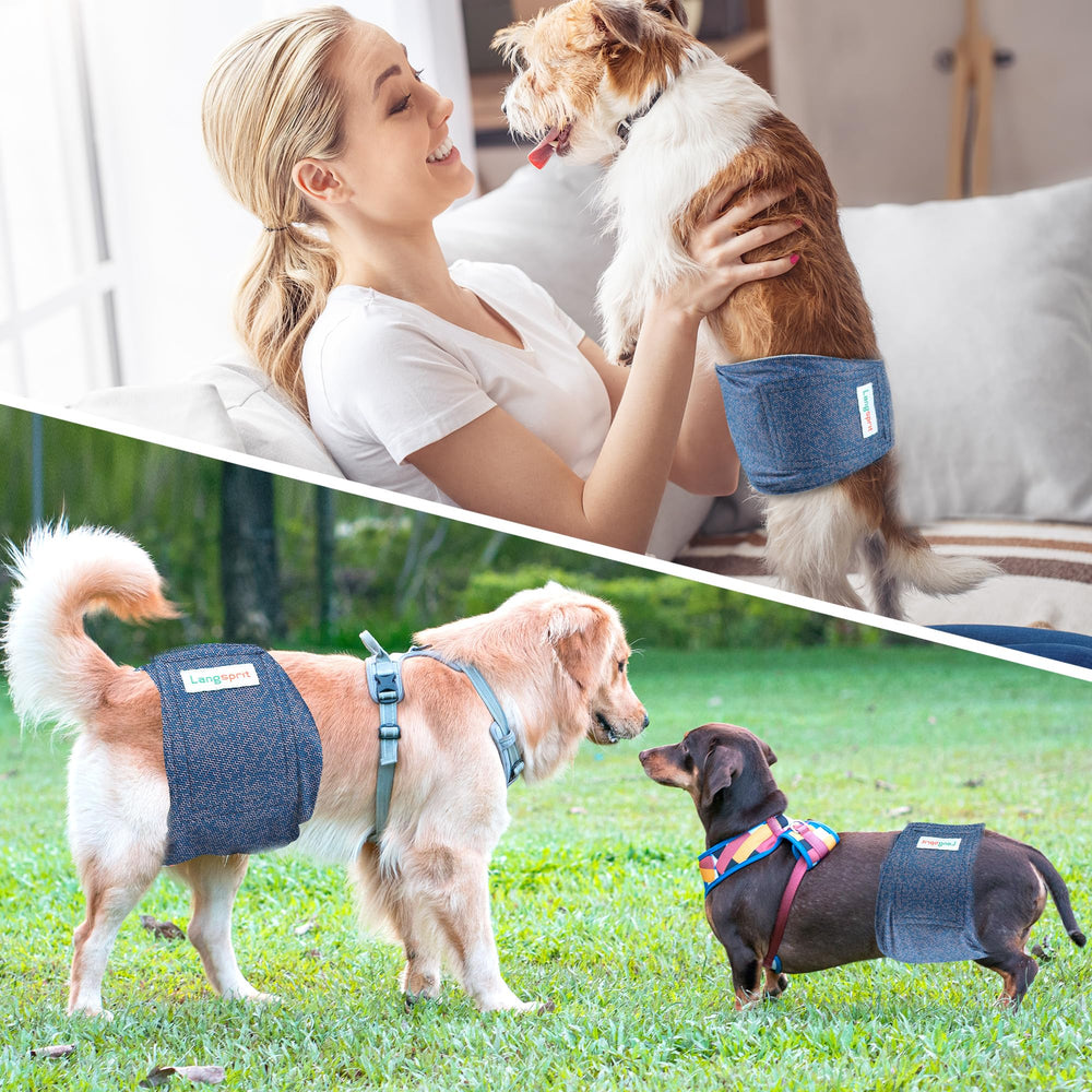 Langsprit banda de panza macho para perros disponible en varias tallas