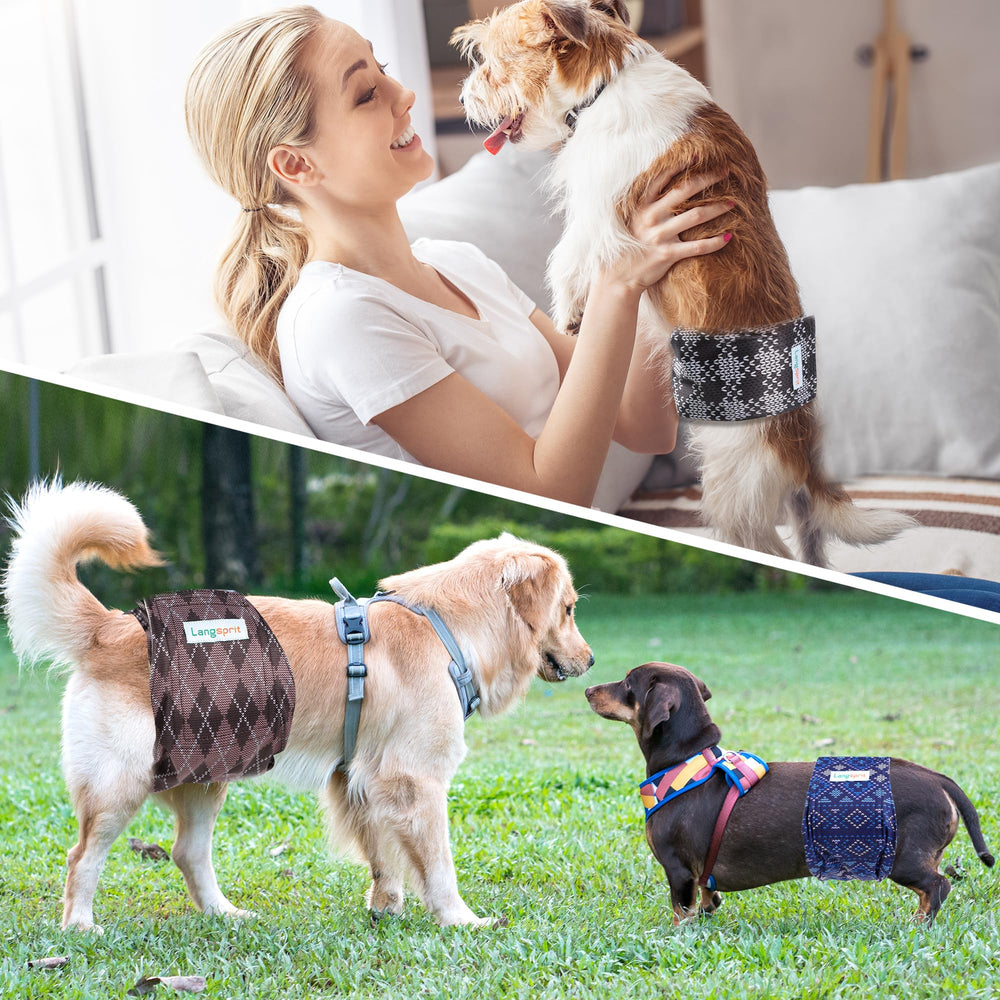 Langsprit banda con diseño plaid; estilo práctico para perros.