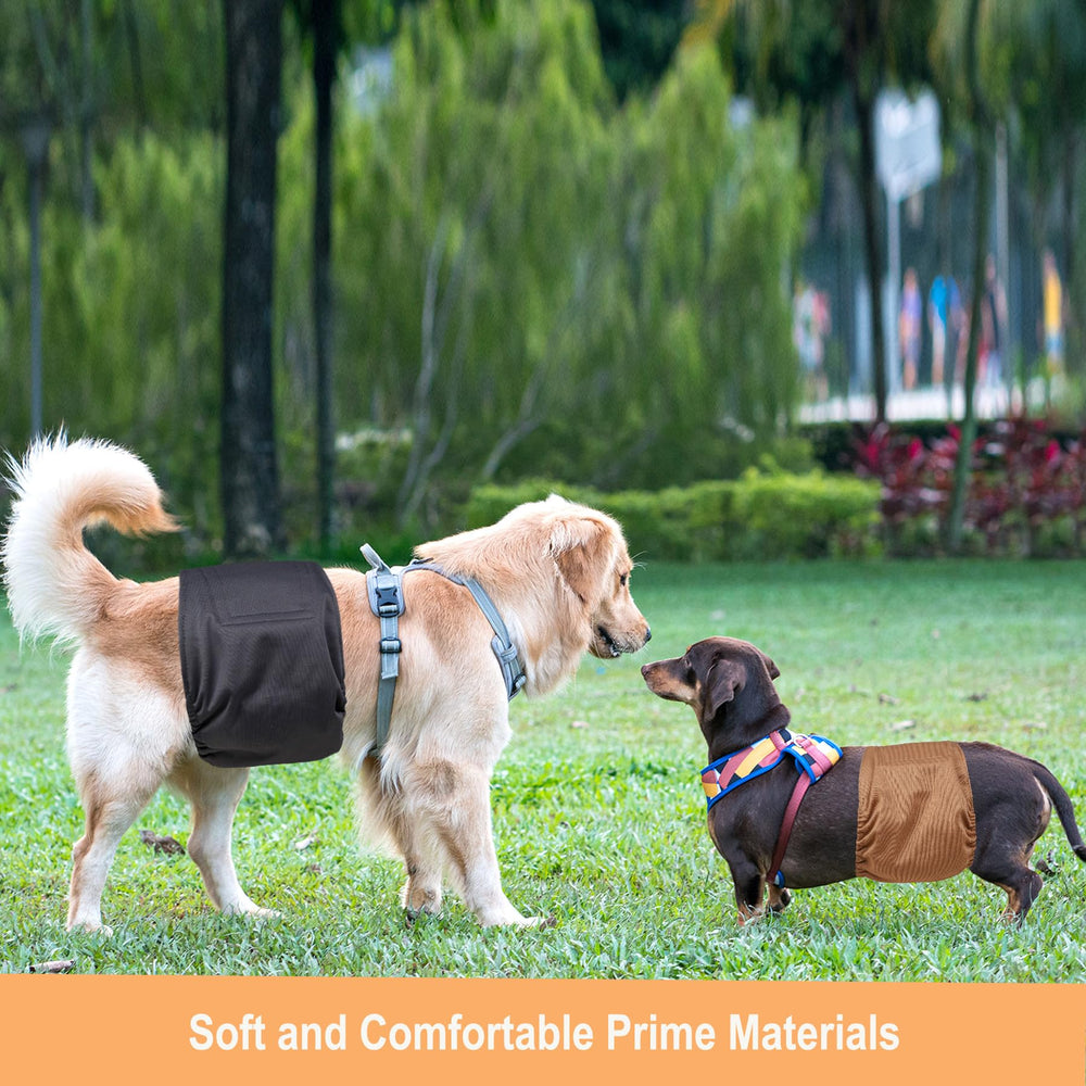 Langsprit pack de 3, solución reutilizable para cachorros