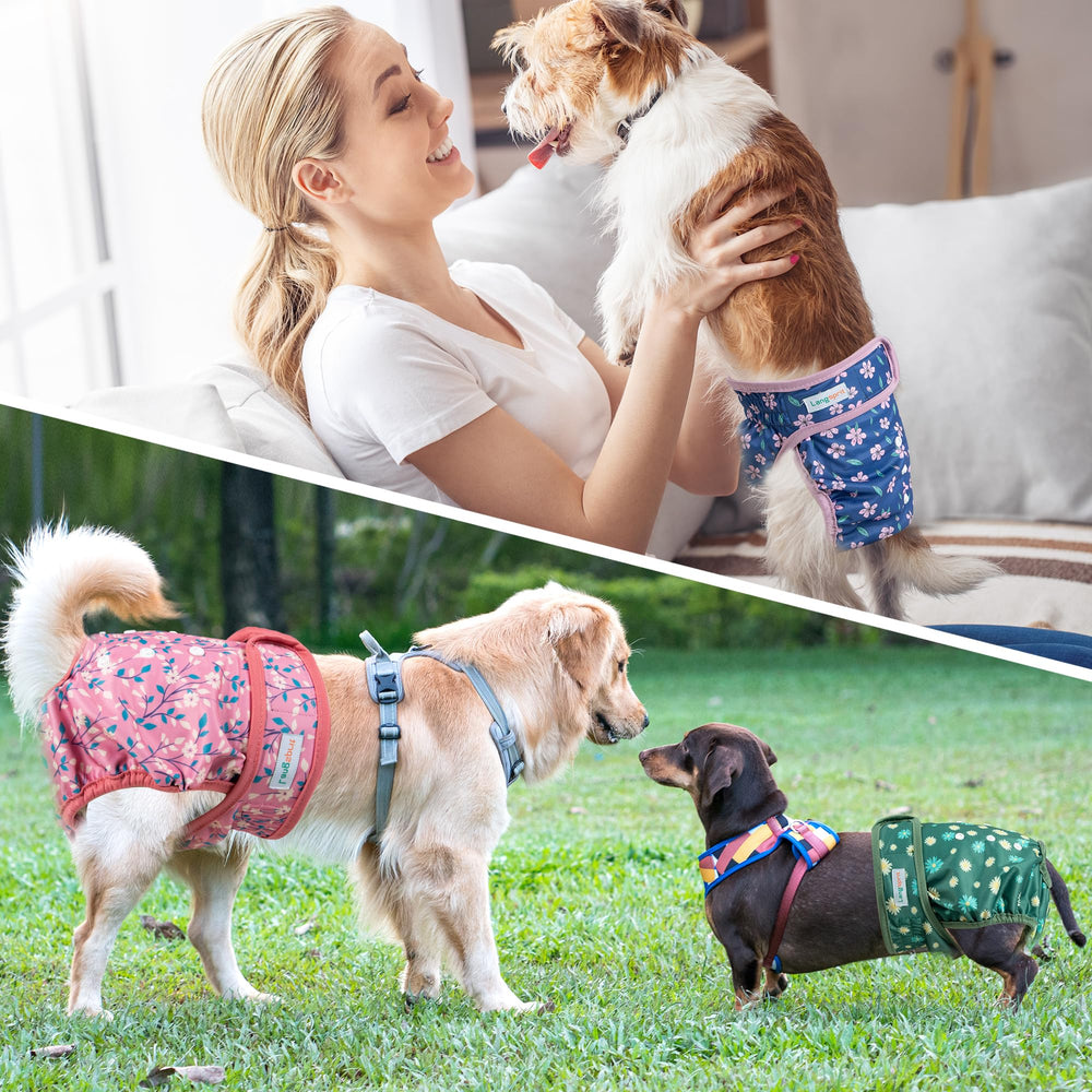 Langsprit panales femeninos para perro, ideal para casa y viajes.