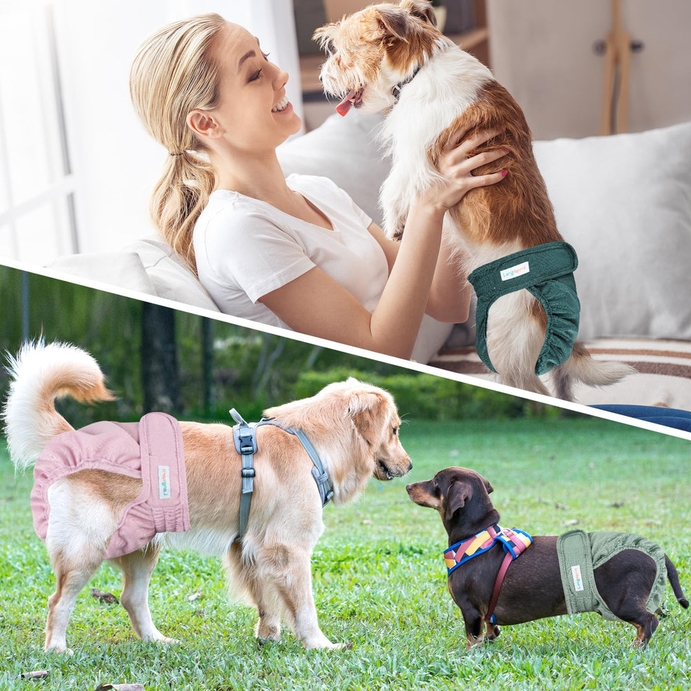 Langsprit-pañales para perra, diseño ajustable, ajuste cómodo