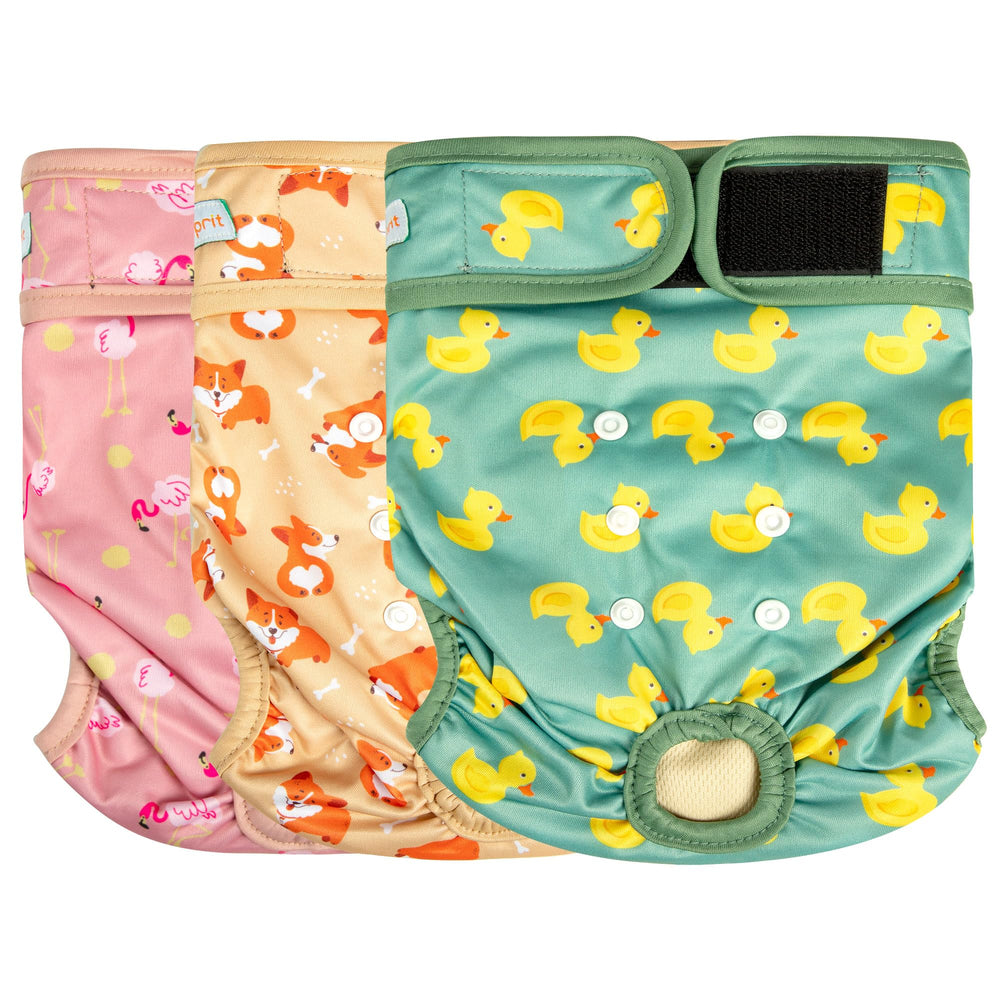 Pañales Langsprit para perros femeninos con ajuste cómodo para uso diario.