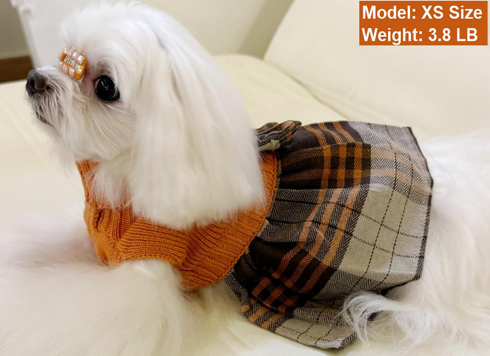 Lanyarco: guía de tallas para elegir la talla adecuada de perro.