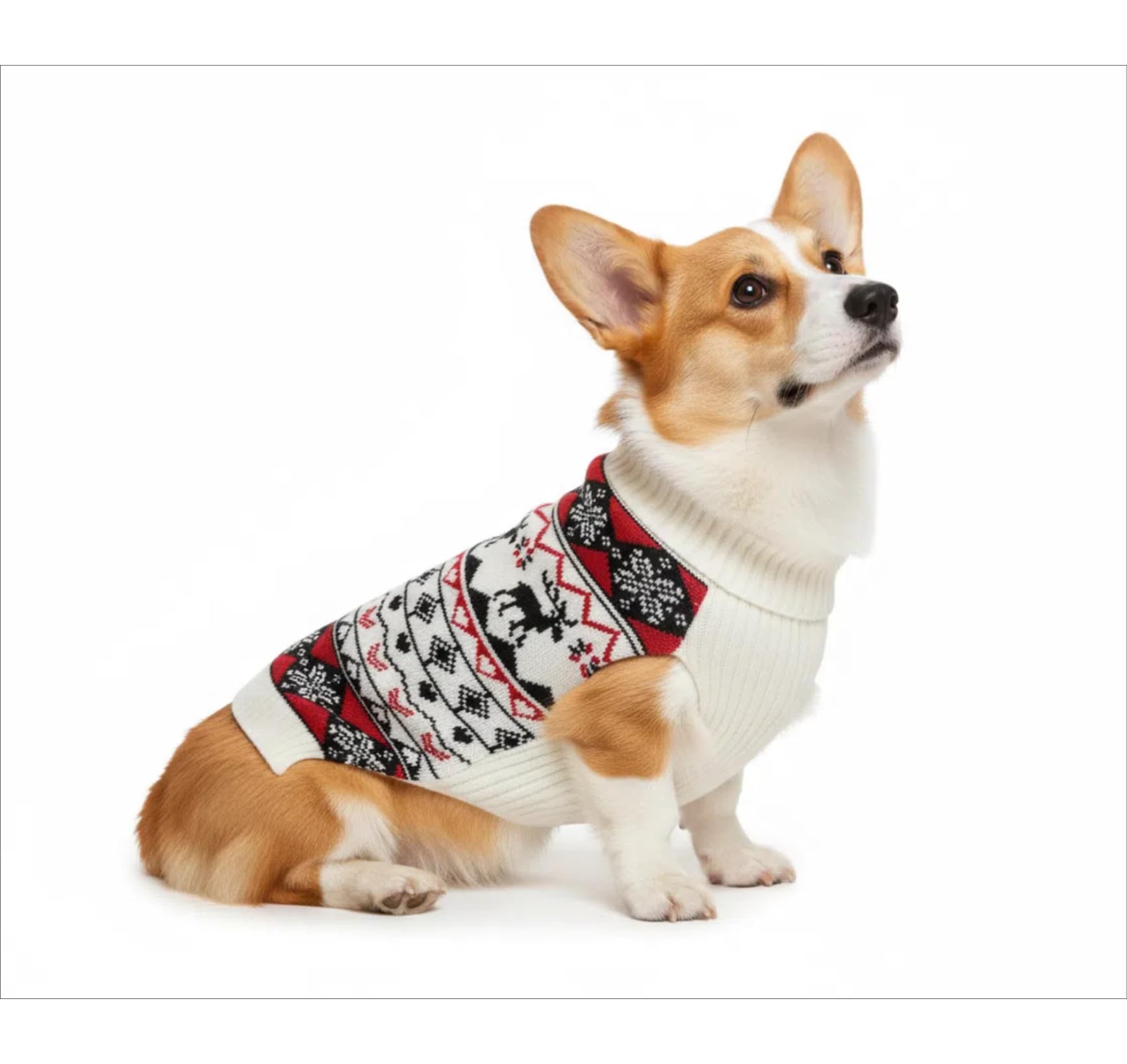 Lanyarco lazo decorativo en suéter para perro XL, detalle encantador para Navidad.