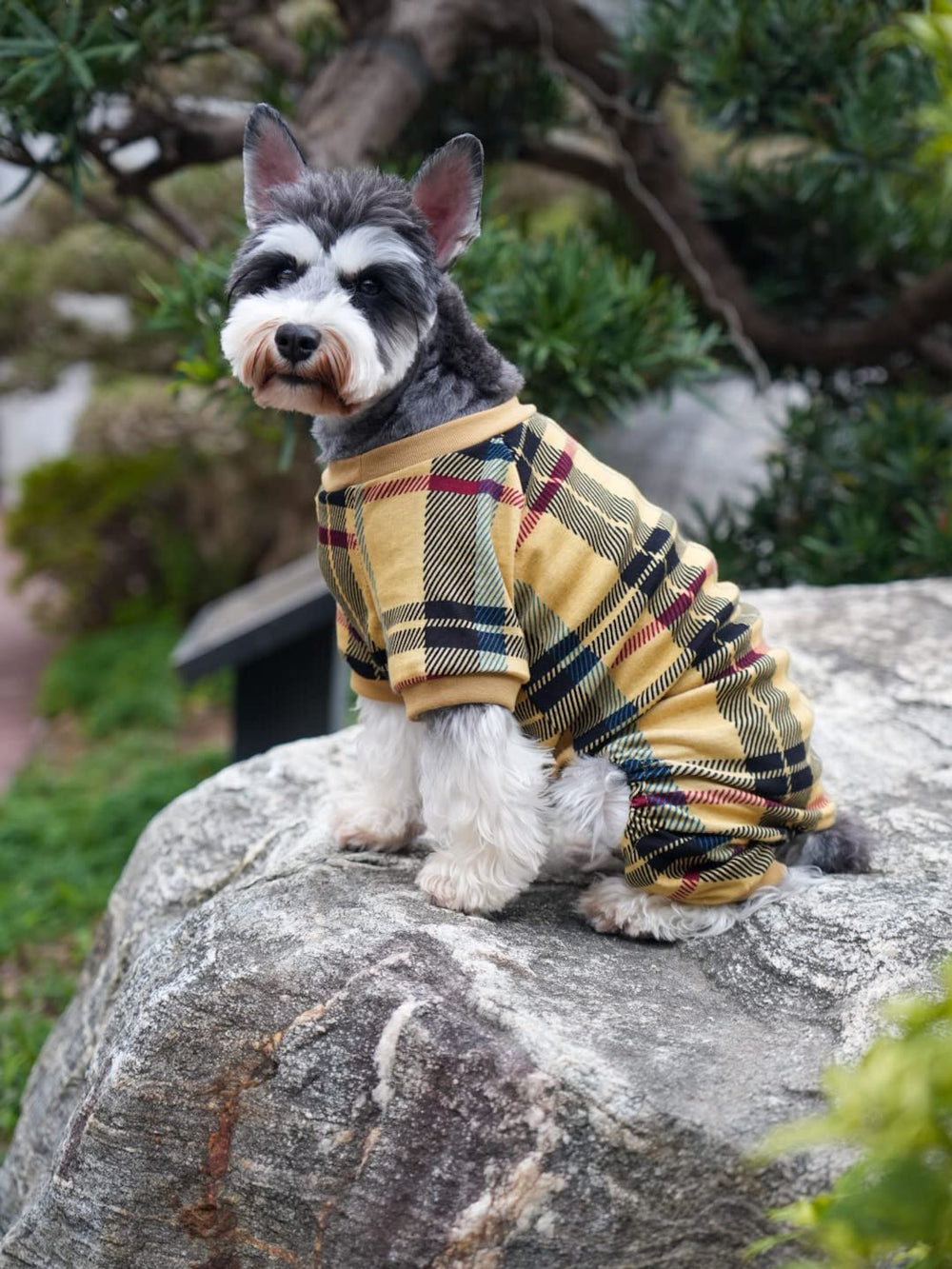 Uso diario festivo con pijama Lanyarco para perro cómodo.