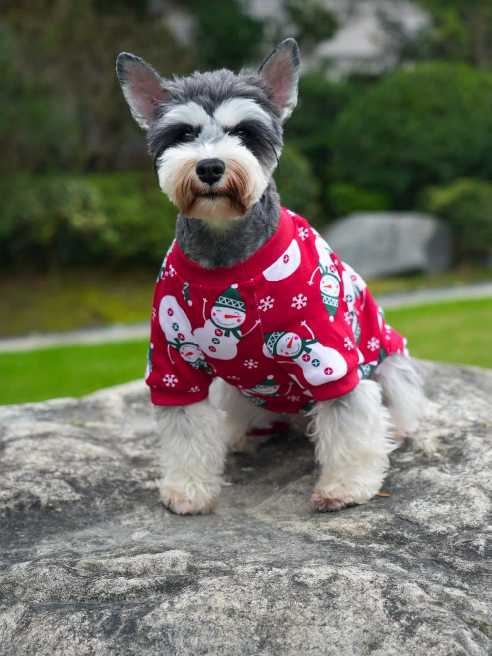 Pijama festivo de Lanyarco para perros, ideal para sesiones de fotos y reuniones.