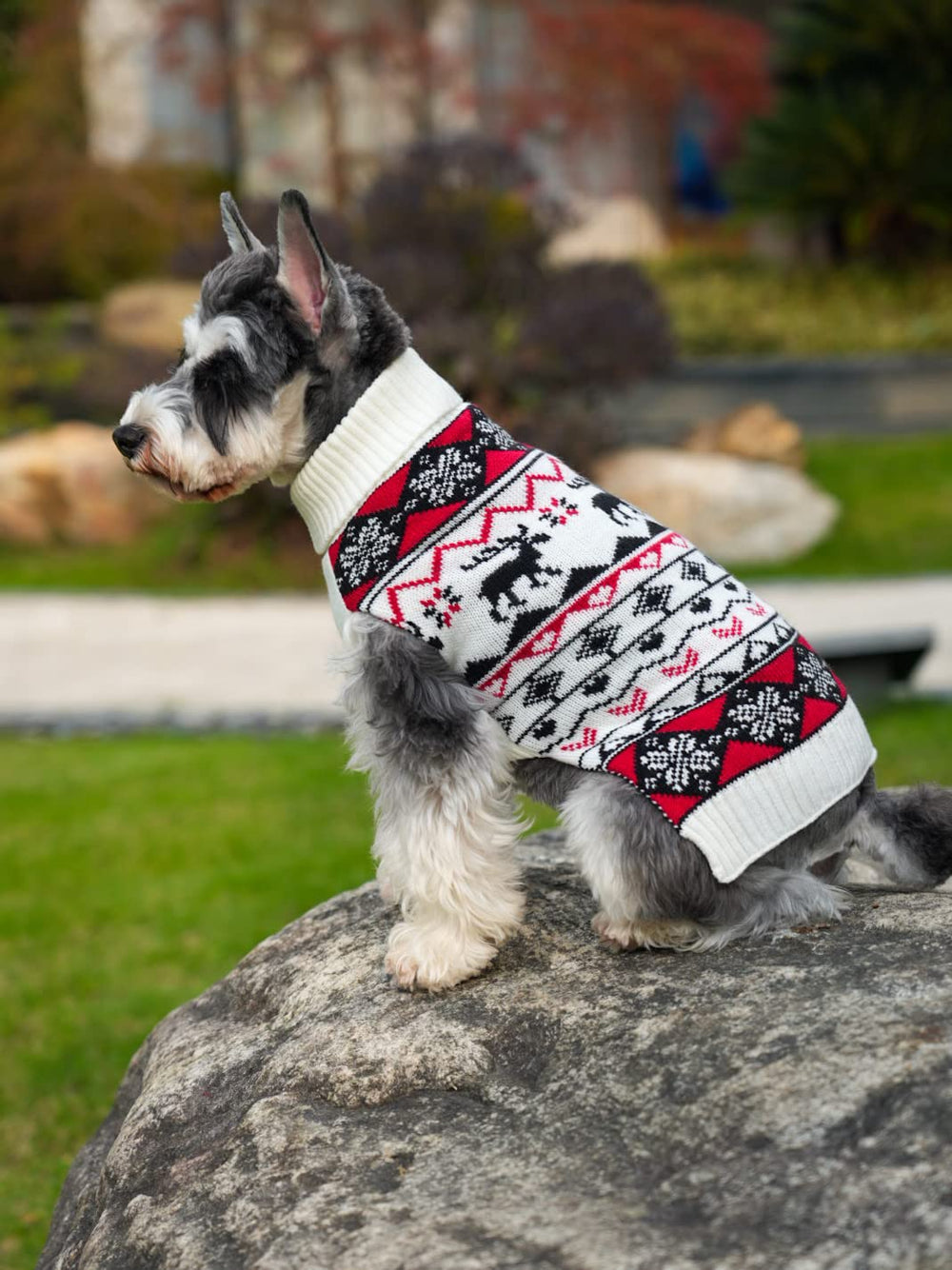 Lanyarco ideal para fotos navideñas y regalos, suéter para perro XL.