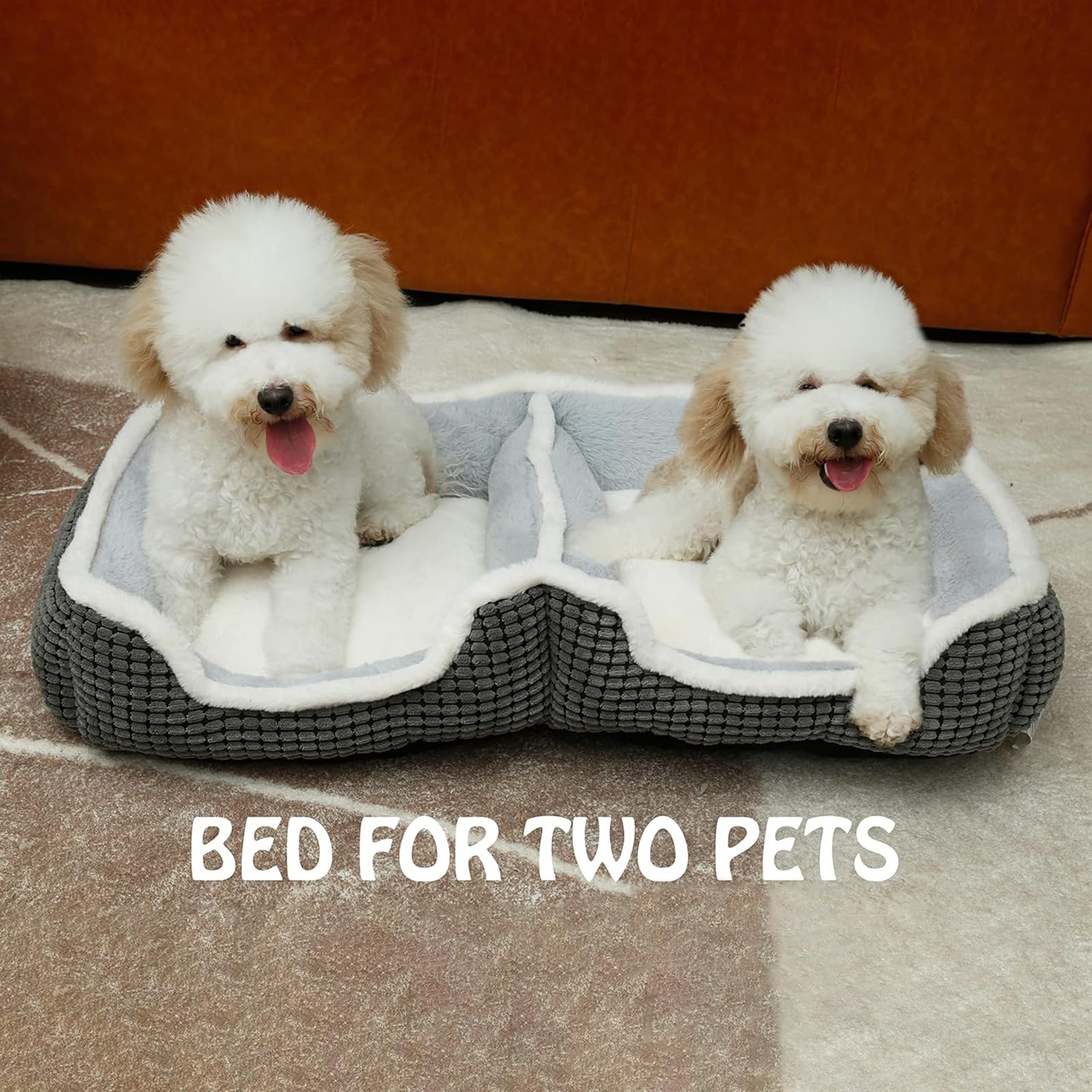 Laojin Balhen: cama doble para gatos y perros en interiores, fomenta convivencia tranquila.