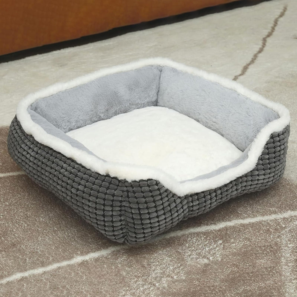 Ideal para gatos y cachorros en interiores con Laojin Balhen.