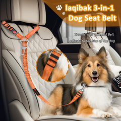 Laqibak arnes-removable con reposacabezas para coche en uso.