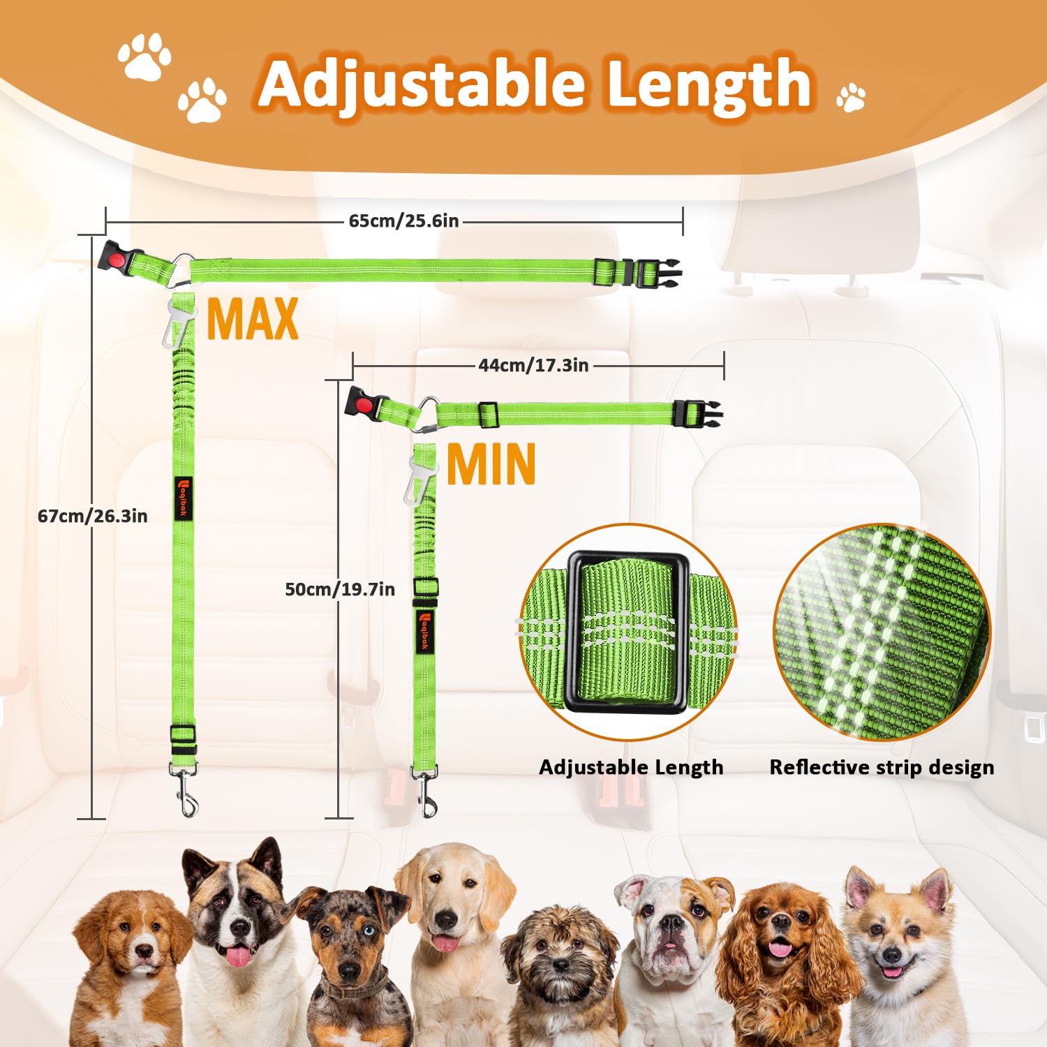 Laqibak regalo ideal para amantes de perros viajeros.