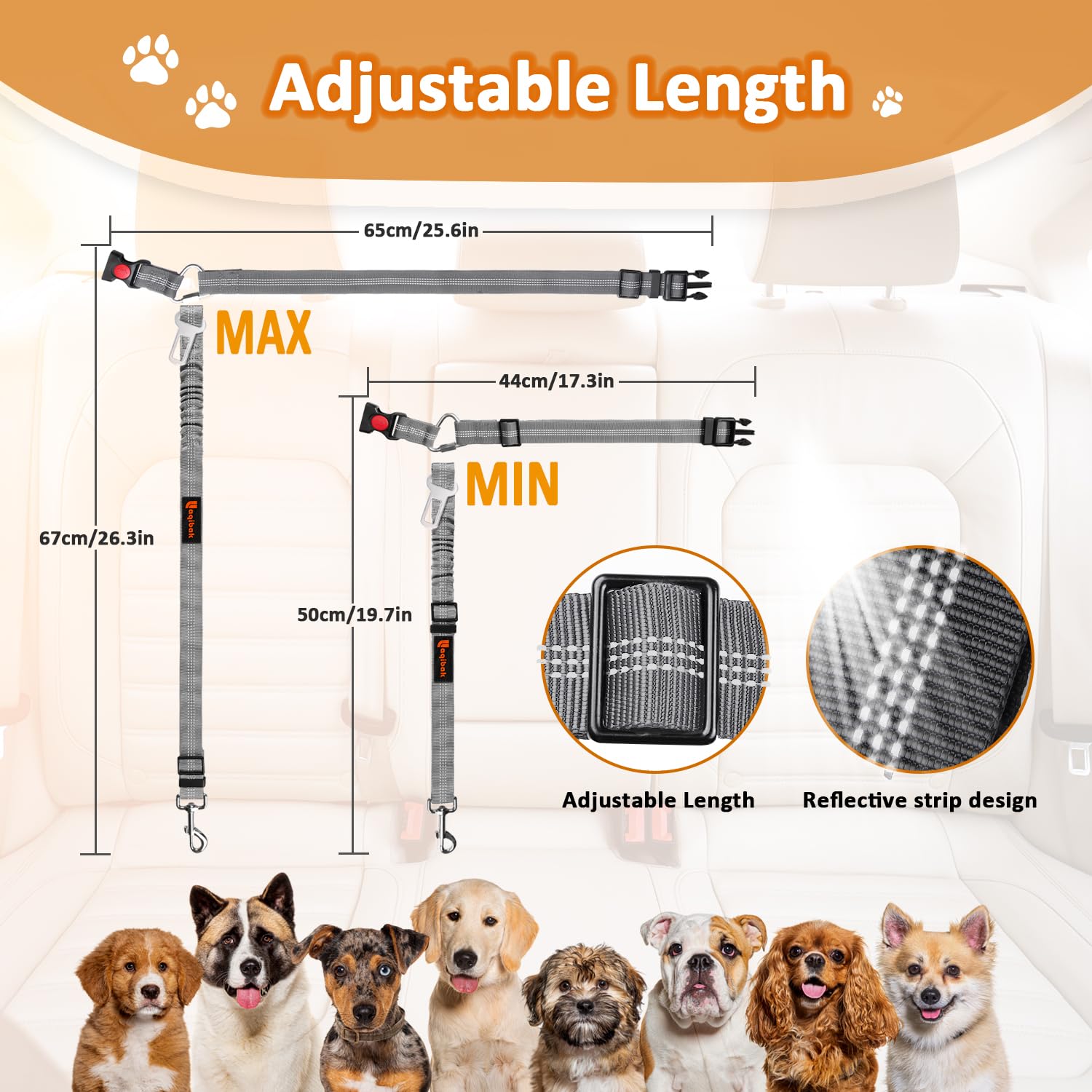 Laqibak regalo-ideal-para-amantes-de-mascotas opción práctica