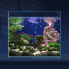 Laqual acuario cristal ultra claro sin marco ofrece vista realista para bettas y nano peces