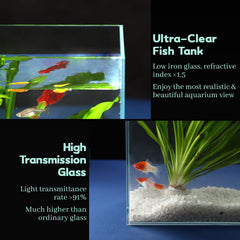 Laqual conjunto incluye herramientas y tapas para montar y mantener limpio el acuario
