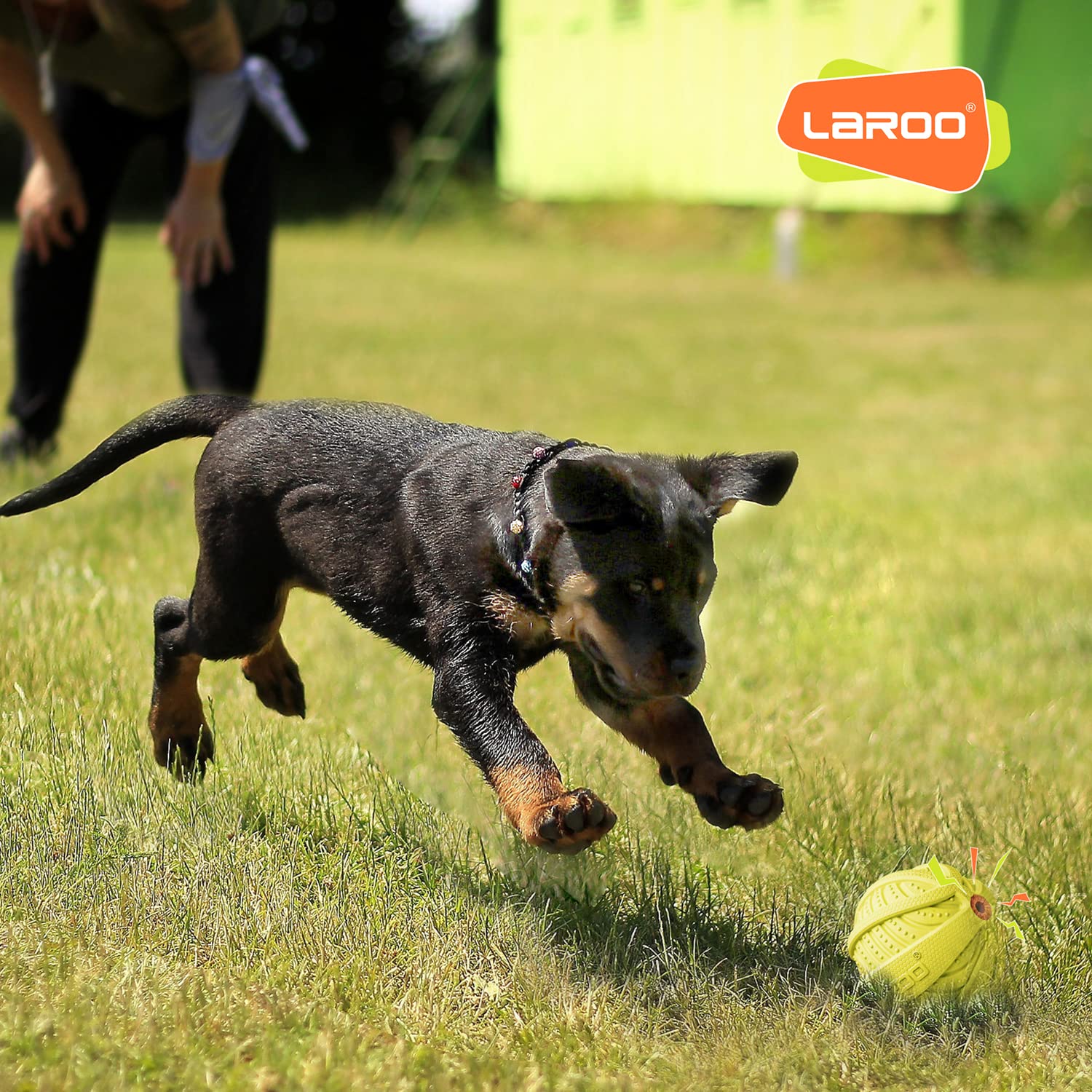 LaRoo bola para perros medianos y grandes, ideal para entrenamiento y juego.