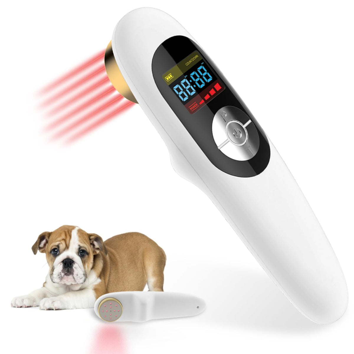 LASWHGDPET luz roja 650nm para perros mejora circulación y confort diario.