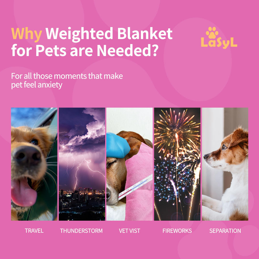 Cobija pesada LaSyL para perro durante la siesta.