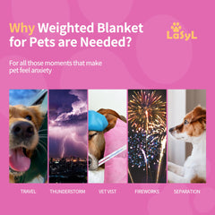 Cobija pesada LaSyL para perro durante la siesta.