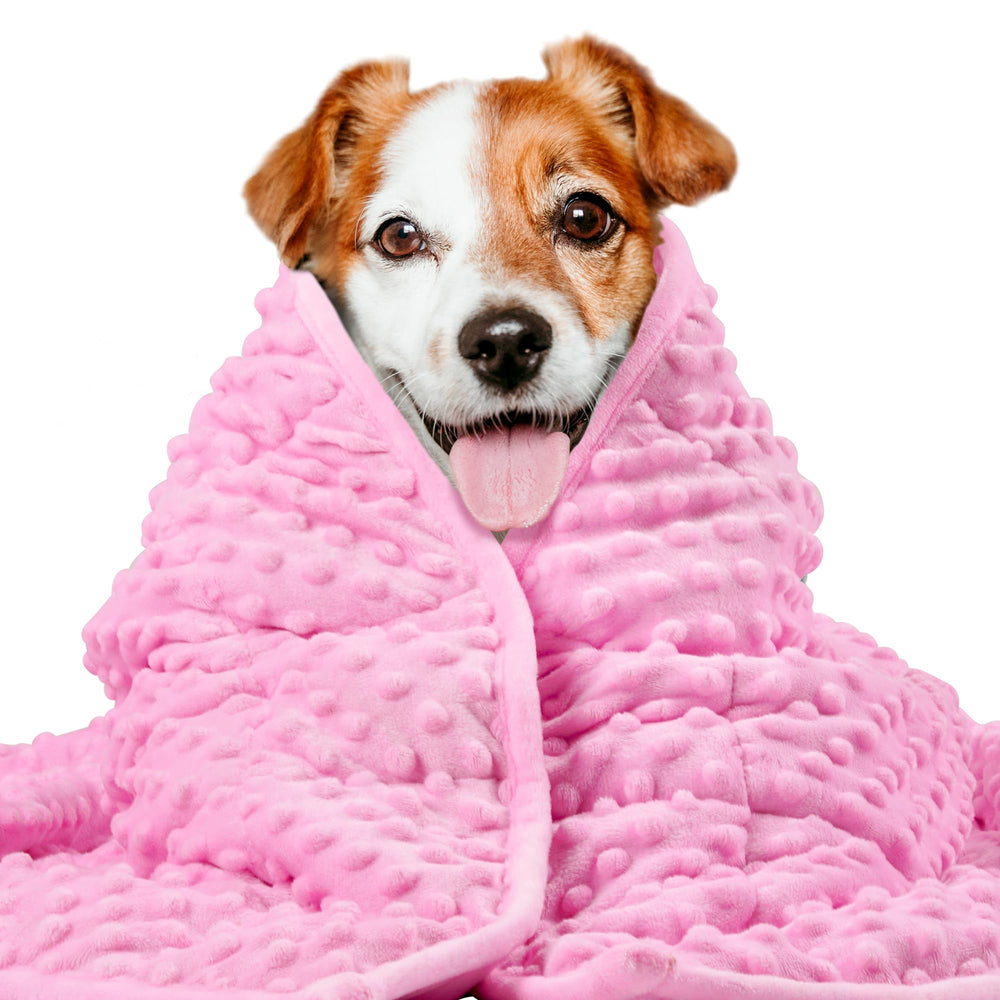 Cobija pesada LaSyL para mascotas en sala, calma perros activos.
