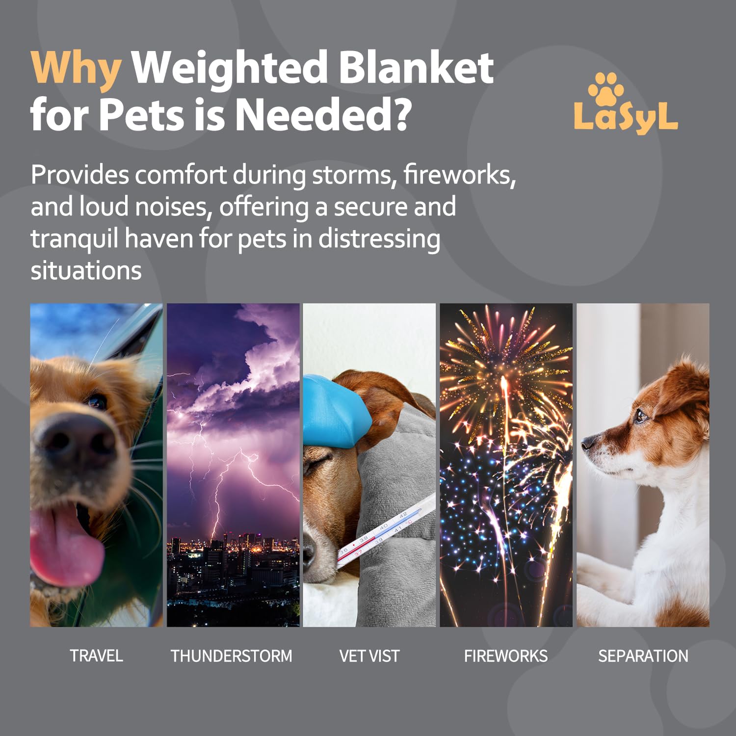 LaSyL manta para perros, ayuda a gestionar la ansiedad en viajes y casa.