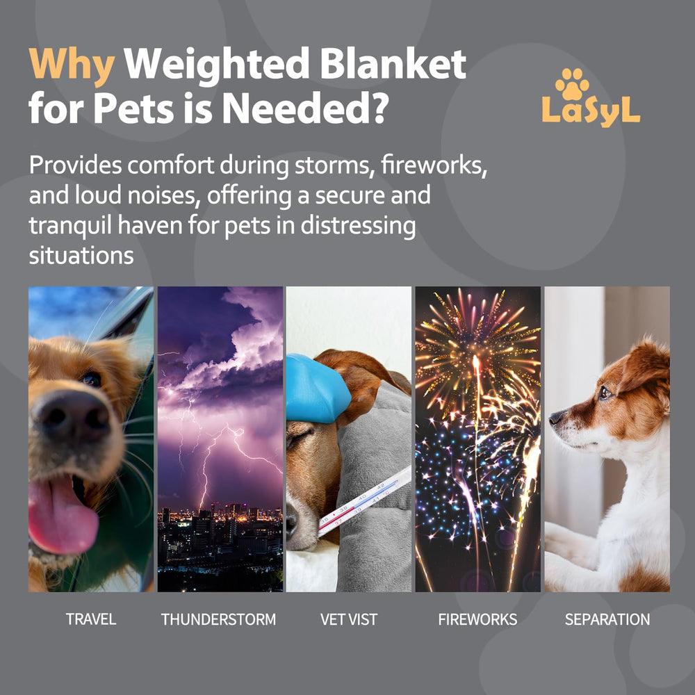 LaSyL manta para perros, ayuda a gestionar la ansiedad en viajes y casa.