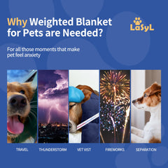 LaSyL manta ponderada para perros con ansiedad ante tormentas