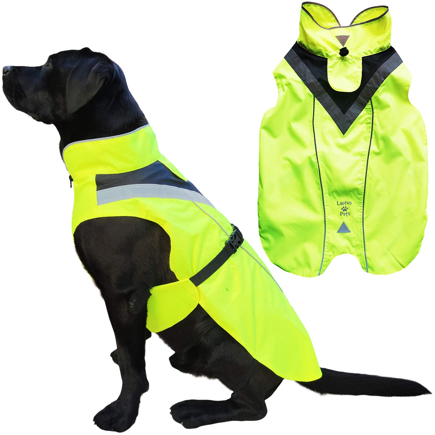 Lautus Pets capa de lluvia XXL vista frontal, ideal para caminatas seguras