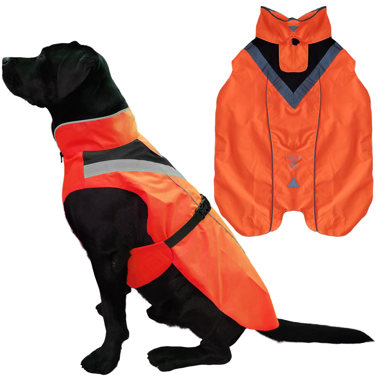 Lautus Pets capa impermeable para perros, vista general, protección ligera en lluvia