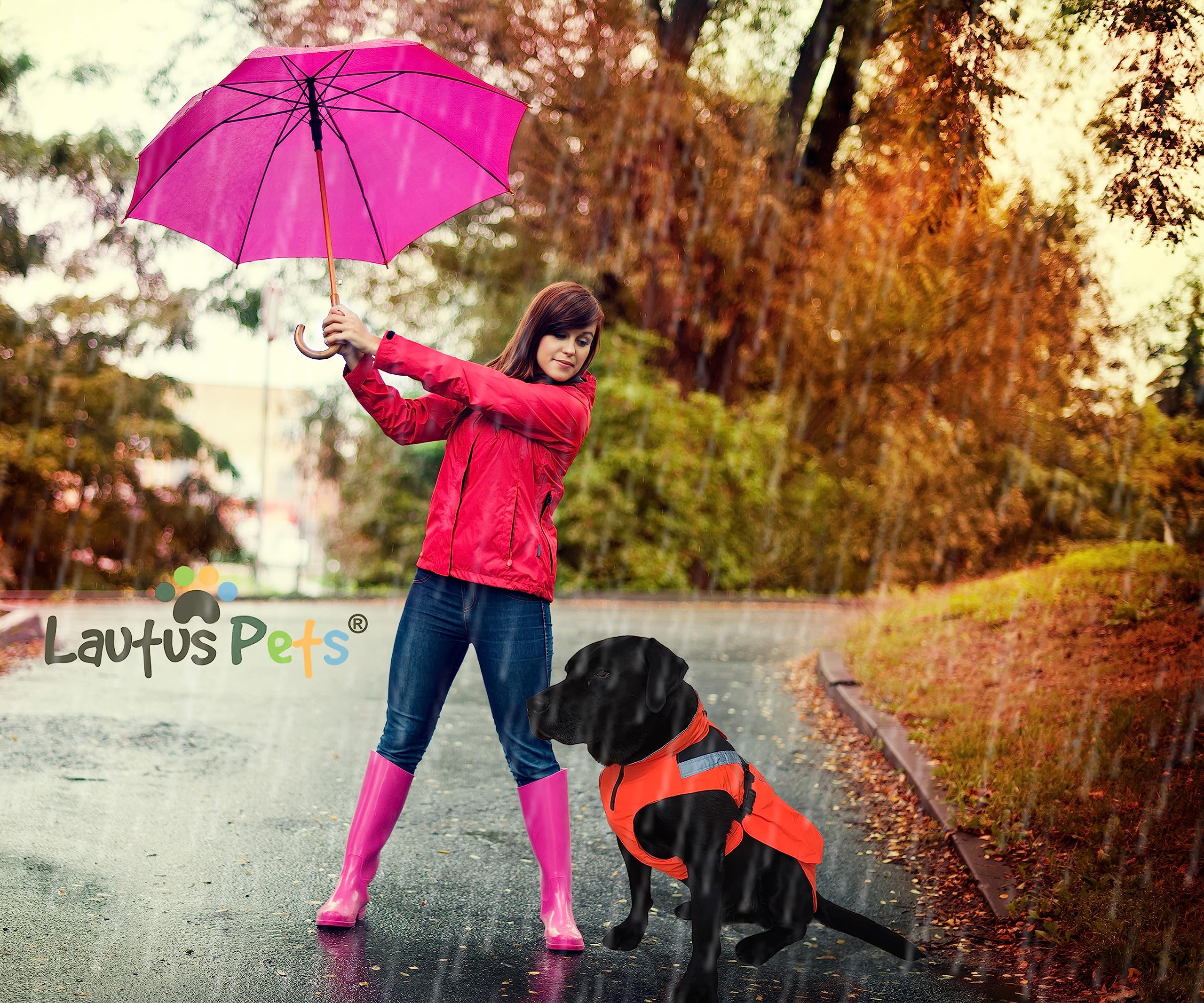 Lautus Pets correas traseras ajustables para mantener la capa en su lugar