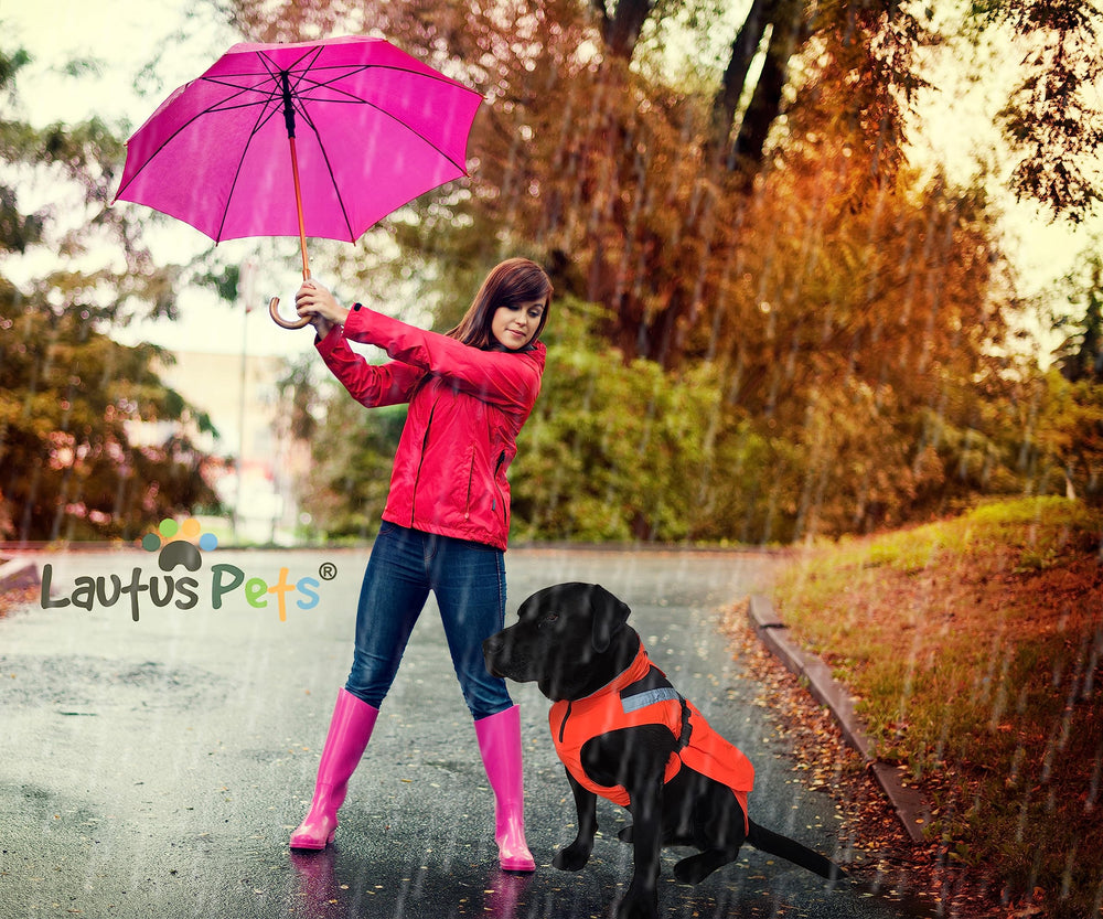Lautus Pets correas traseras ajustables para mantener la capa en su lugar