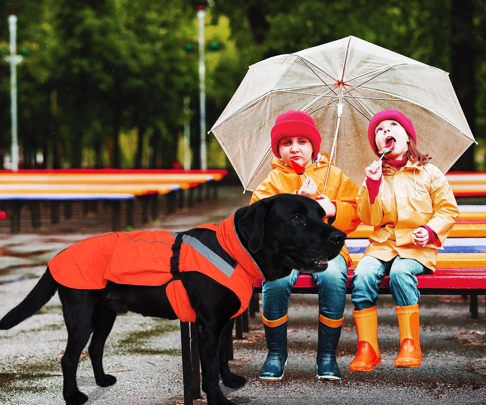 Lautus Pets perro caminando bajo lluvia, comodidad duradera